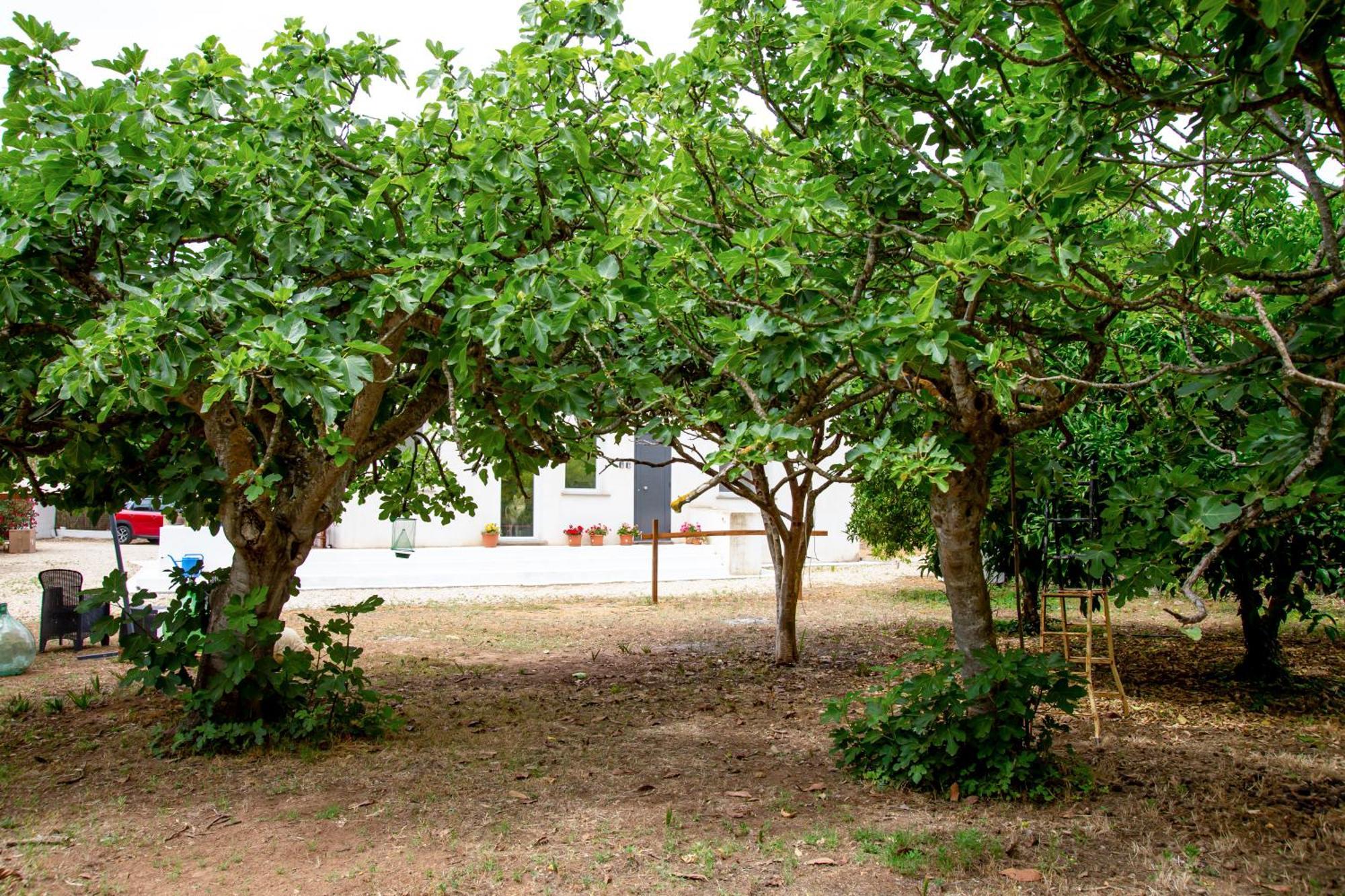 Villa Del Lupo 圣塔·马里亚·迪·帕尔玛 外观 照片